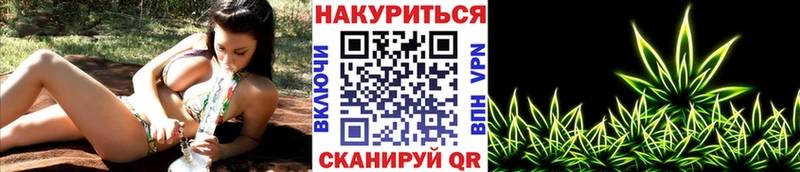Купить где  Морозовск  Конопля индика 